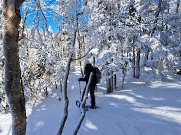 八ヶ岳アウトドア・アクティヴィティーズに投稿された画像（2023/1/25）