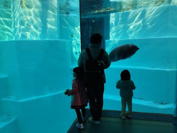 マリンワールド海の中道に投稿された画像（2023/1/25）