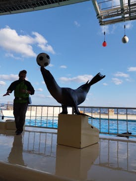 マリンワールド海の中道に投稿された画像（2023/1/25）