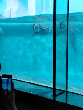 マリンワールド海の中道に投稿された画像（2023/1/25）