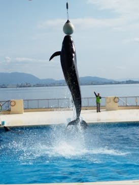 マリンワールド海の中道に投稿された画像（2023/1/25）