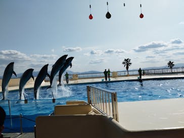 マリンワールド海の中道に投稿された画像（2023/1/25）