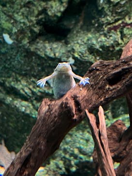 サンシャイン水族館に投稿された画像（2023/1/25）