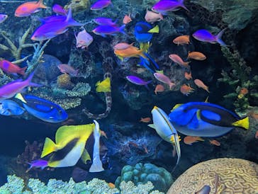 サンシャイン水族館に投稿された画像（2023/1/25）