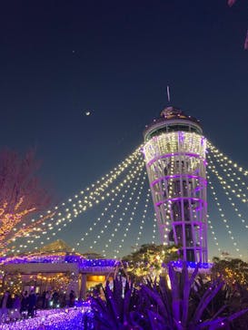 江の島シーキャンドルに投稿された画像（2023/1/25）