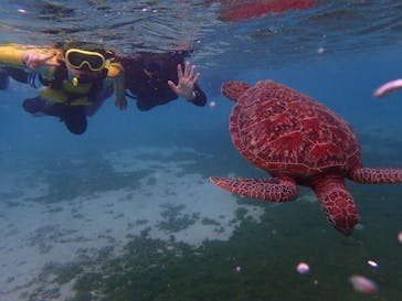 宮古島 ADVENTURE PiPi（ミヤコジマ アドベンチャー ピピ）に投稿された画像（2023/1/25）