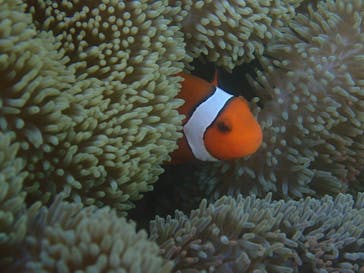 宮古島 ADVENTURE PiPi（ミヤコジマ アドベンチャー ピピ）に投稿された画像（2023/1/25）