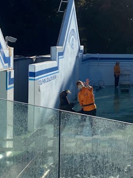 しながわ水族館に投稿された画像（2023/1/25）