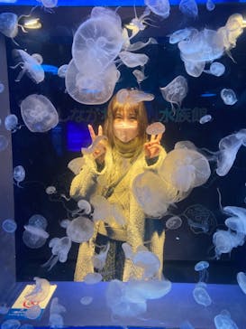 しながわ水族館に投稿された画像（2023/1/25）