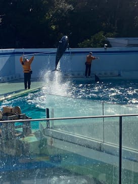 しながわ水族館に投稿された画像（2023/1/25）