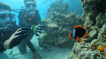 DIVING-SHOP SUNSに投稿された画像（2023/1/25）