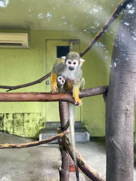 ひらかたパークに投稿された画像（2023/1/25）