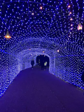 ひらかたパークに投稿された画像（2023/1/25）