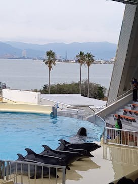 マリンワールド海の中道に投稿された画像（2023/1/25）