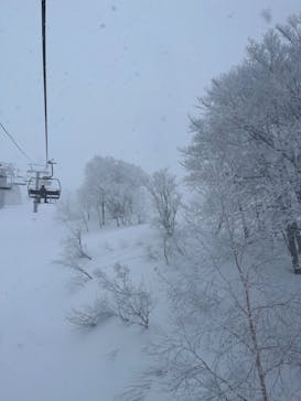 スキージャム勝山に投稿された画像（2023/1/25）