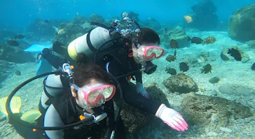 武藤潜水に投稿された画像（2023/1/26）