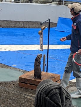 大分マリーンパレス水族館 「うみたまご」に投稿された画像（2023/1/26）