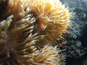 武藤潜水に投稿された画像（2023/1/26）