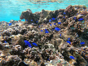 武藤潜水に投稿された画像（2023/1/26）