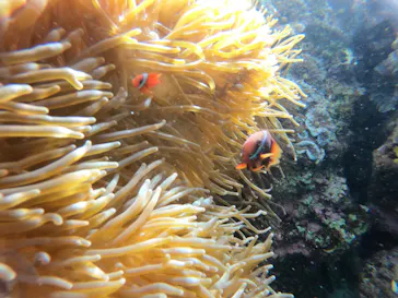 武藤潜水に投稿された画像（2023/1/26）