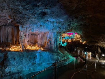 石垣島鍾乳洞に投稿された画像（2023/1/26）