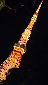 東京タワーに投稿された画像（2023/1/26）