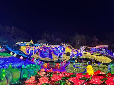 伊豆ぐらんぱる公園に投稿された画像（2023/1/26）