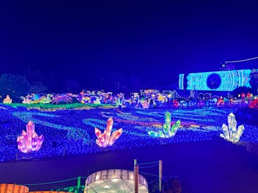 伊豆ぐらんぱる公園に投稿された画像（2023/1/26）