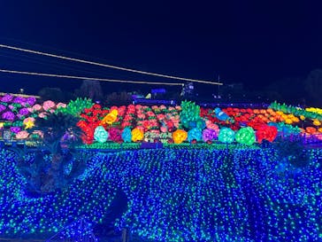 伊豆ぐらんぱる公園に投稿された画像（2023/1/26）