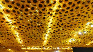 ゴッホ・アライブに投稿された画像（2023/1/27）