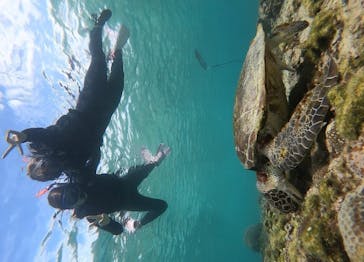 宮古島 ADVENTURE PiPi（ミヤコジマ アドベンチャー ピピ）に投稿された画像（2023/1/27）