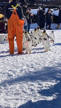 登別マリンパークニクスに投稿された画像（2023/1/27）