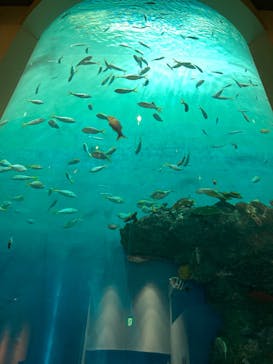 登別マリンパークニクスに投稿された画像（2023/1/27）