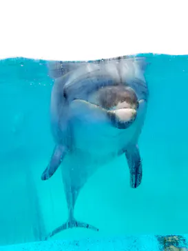 横浜・八景島シーパラダイスに投稿された画像（2023/1/27）