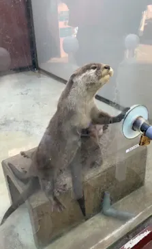 横浜・八景島シーパラダイスに投稿された画像（2023/1/27）