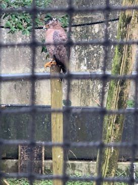 沖縄こどもの国に投稿された画像（2023/1/27）