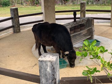 沖縄こどもの国に投稿された画像（2023/1/27）