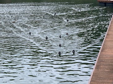 沖縄こどもの国に投稿された画像（2023/1/27）