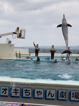 沖縄美ら海水族館に投稿された画像（2023/1/27）