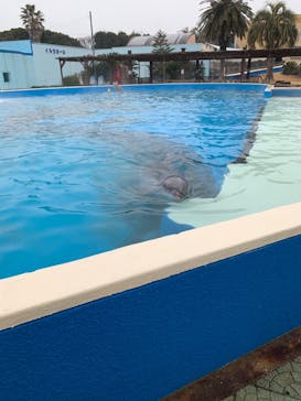 南知多ビーチランド＆南知多おもちゃ王国に投稿された画像（2023/1/27）