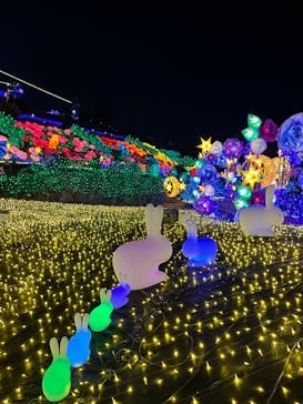 伊豆ぐらんぱる公園に投稿された画像（2023/1/27）