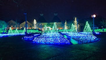 なばなの里に投稿された画像（2023/1/27）