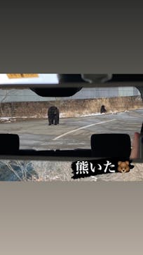 秋吉台自然動物公園 サファリランドに投稿された画像（2023/1/27）