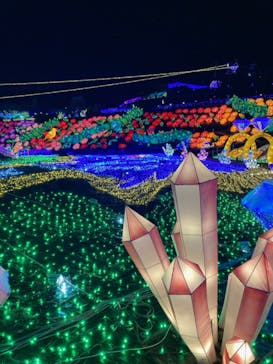 伊豆ぐらんぱる公園に投稿された画像（2023/1/27）