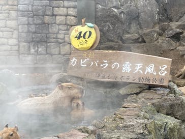 伊豆シャボテン動物公園に投稿された画像（2023/1/27）