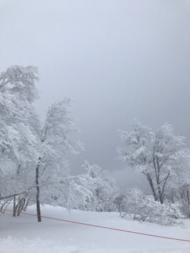 スキージャム勝山に投稿された画像（2023/1/27）