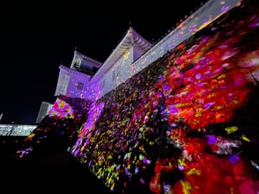 福山城400年博-FUKUYAMA CASTLE EXPO 2022- RCC開局70年 「チームラボ 福山城 光の祭」に投稿された画像（2023/1/28）