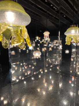 京都水族館に投稿された画像（2023/1/28）