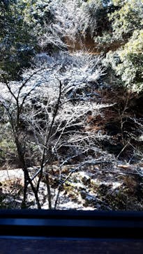 アソビュー株式会社　150881に投稿された画像（2023/1/28）