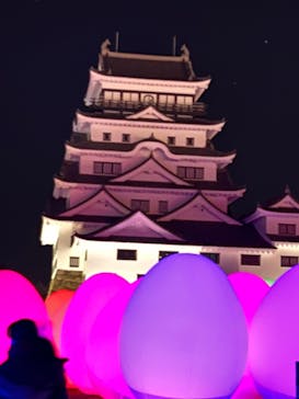 福山城400年博-FUKUYAMA CASTLE EXPO 2022- RCC開局70年 「チームラボ 福山城 光の祭」に投稿された画像（2023/1/28）